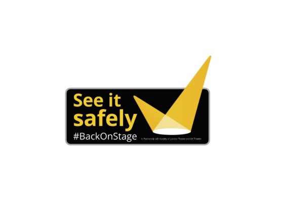 See It Safely logo
