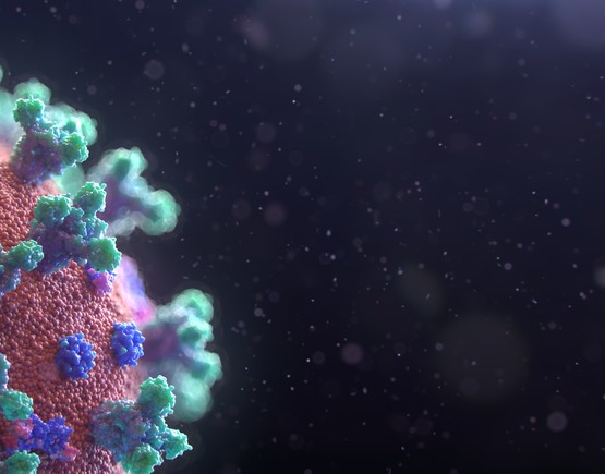 Coronavirus cells