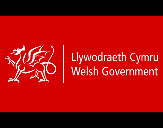 Welsh Government