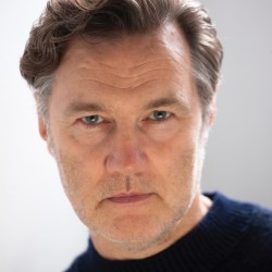 David Morrissey 