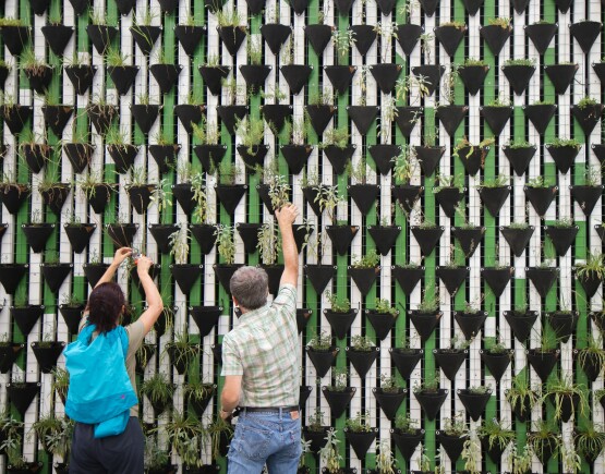 Living wall with people adding plants to it.