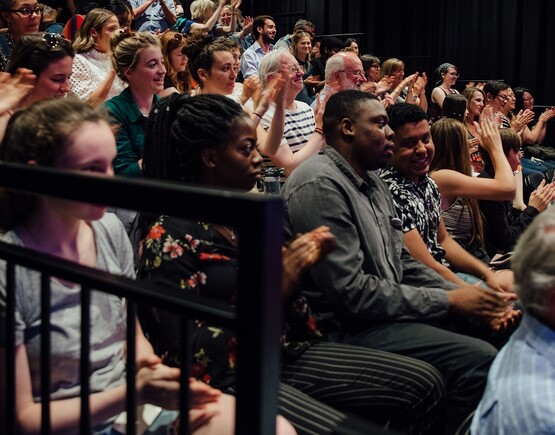 Theatre audience