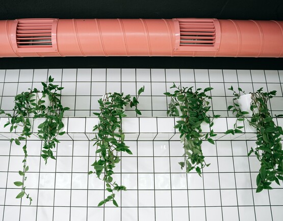 Ventilation pipe over a wall with green plants