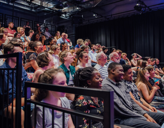 Audiences enjoying a show at the theatre.