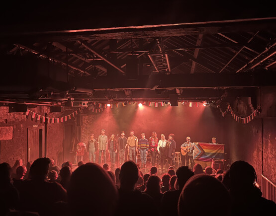 The cast of The show The Regulars on stage at Hope Mill Theatre for a standing ovation.