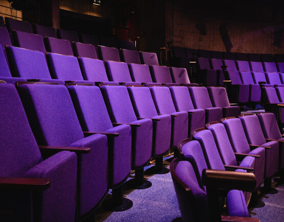 New Vic Theatre seating