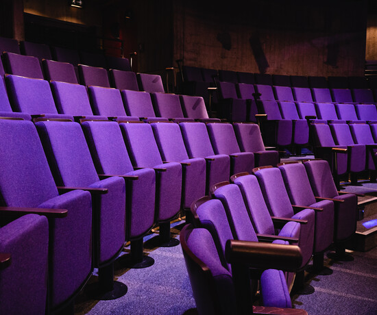 New Vic Theatre seating