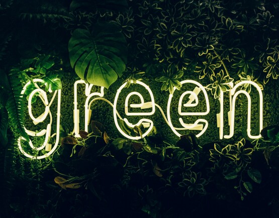 Green neon sign