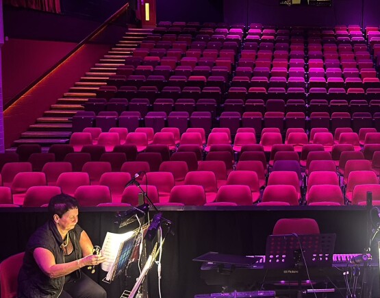 Prince of Wales auditorium